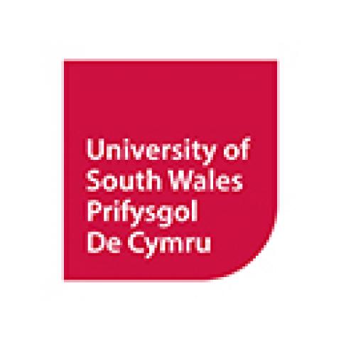 Prifysgol De Cymru